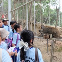 Kegiatan Outdoor Study Kelas IV Ke Asia Farm Pekanbaru 2024